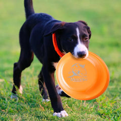 Dog Training Disc - Durable Pet for Puppy & Adult Dog Training, Lightweight Easy-Catch Dog Training Toy, Essential Pet Supplies