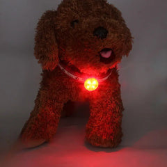 Dog Collar, Loss Collar, Weatherproof LED Safety Light, USB Rechargeable LED Light Collar, Dog, Cat, Pet