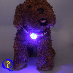 Dog Collar, Loss Collar, Weatherproof LED Safety Light, USB Rechargeable LED Light Collar, Dog, Cat, Pet
