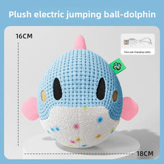 Dog toys, electric bouncing ball, pet self congratulation, relief, magic instrument, sound making, puppies, molars, bite resista